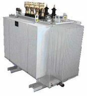 ТМ (ТМГ)-СЭЩ 10 кВ